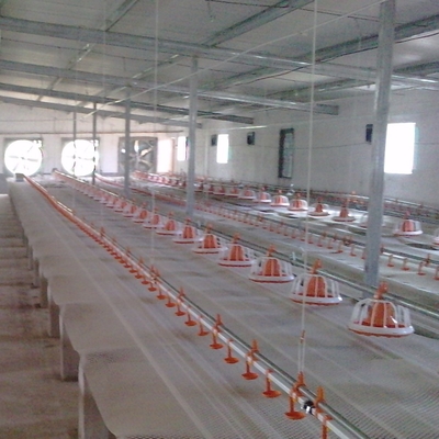 Broiler Poultry Nipple Drinker System For Chicken
