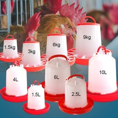 Corrosion Resistance 6kg Quail Poultry Feeder Drinker