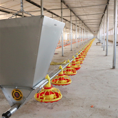 Big Capacity Poultry Feed Hopper For Farming House Auger Conveyor Feed