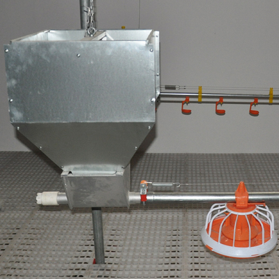 Big Capacity Poultry Feed Hopper For Farming House Auger Conveyor Feed