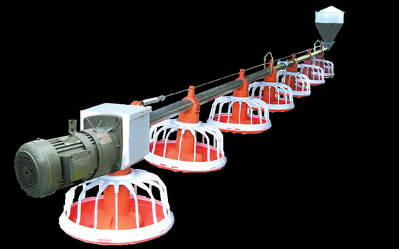 Big Capacity Poultry Feed Hopper For Farming House Auger Conveyor Feed