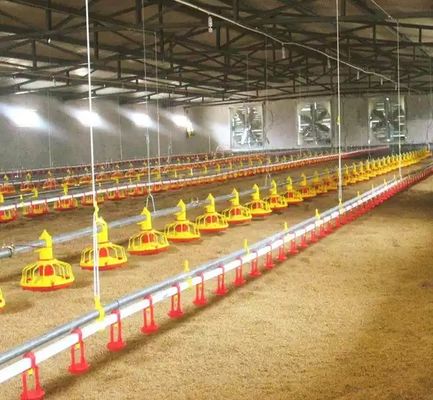 वाटर लाइन ऑटोमैटिक पैन फीडिंग सिस्टम चिकन पोल्ट्री निप्पल ड्रिंकिंग इक्विपमेंट